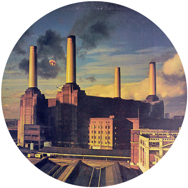 Repertoire - Album Animals